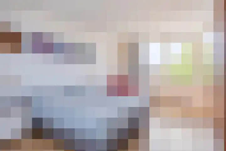 Roverbruidegom 9 Eindhoven thumbnail 33