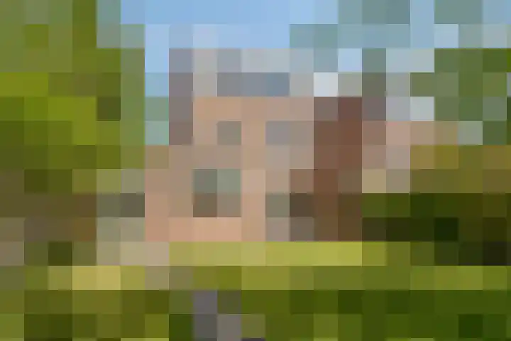 Roverbruidegom 9 Eindhoven thumbnail 35