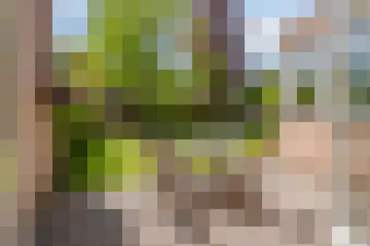 Roverbruidegom 9 Eindhoven thumbnail 36