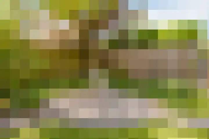 Roverbruidegom 9 Eindhoven thumbnail 37