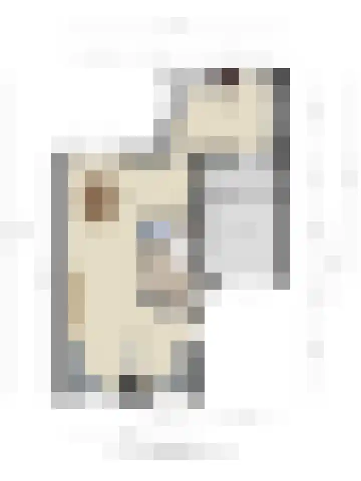 Roverbruidegom 9 Eindhoven thumbnail 38