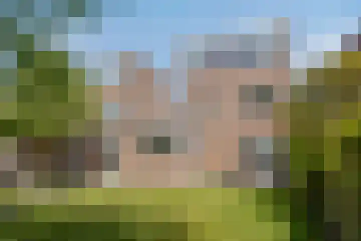 Roverbruidegom 9 Eindhoven thumbnail 4