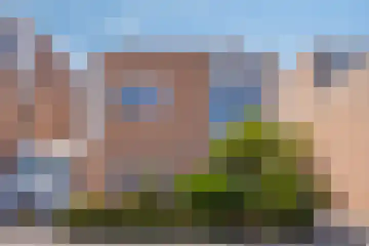 Roverbruidegom 9 Eindhoven thumbnail 5