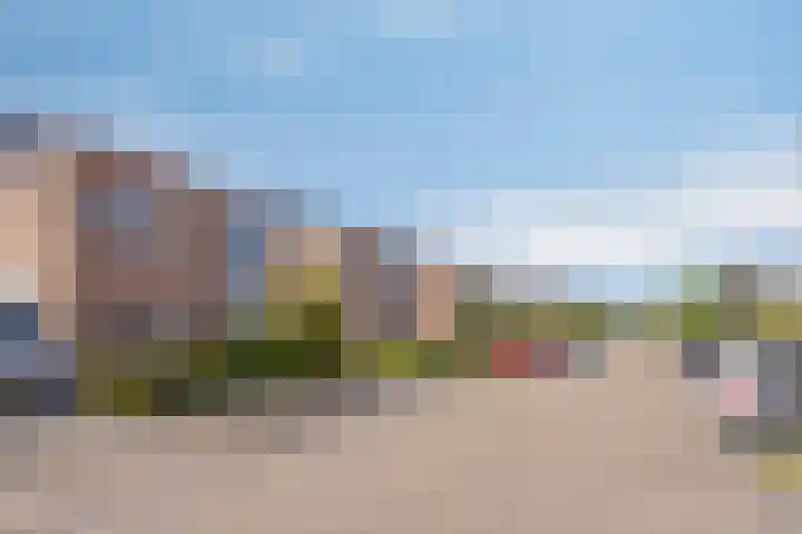 Roverbruidegom 9 Eindhoven thumbnail 6