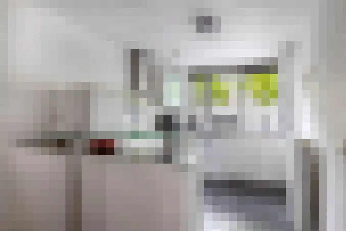Roxenissestraat 13 Zoetermeer thumbnail 16