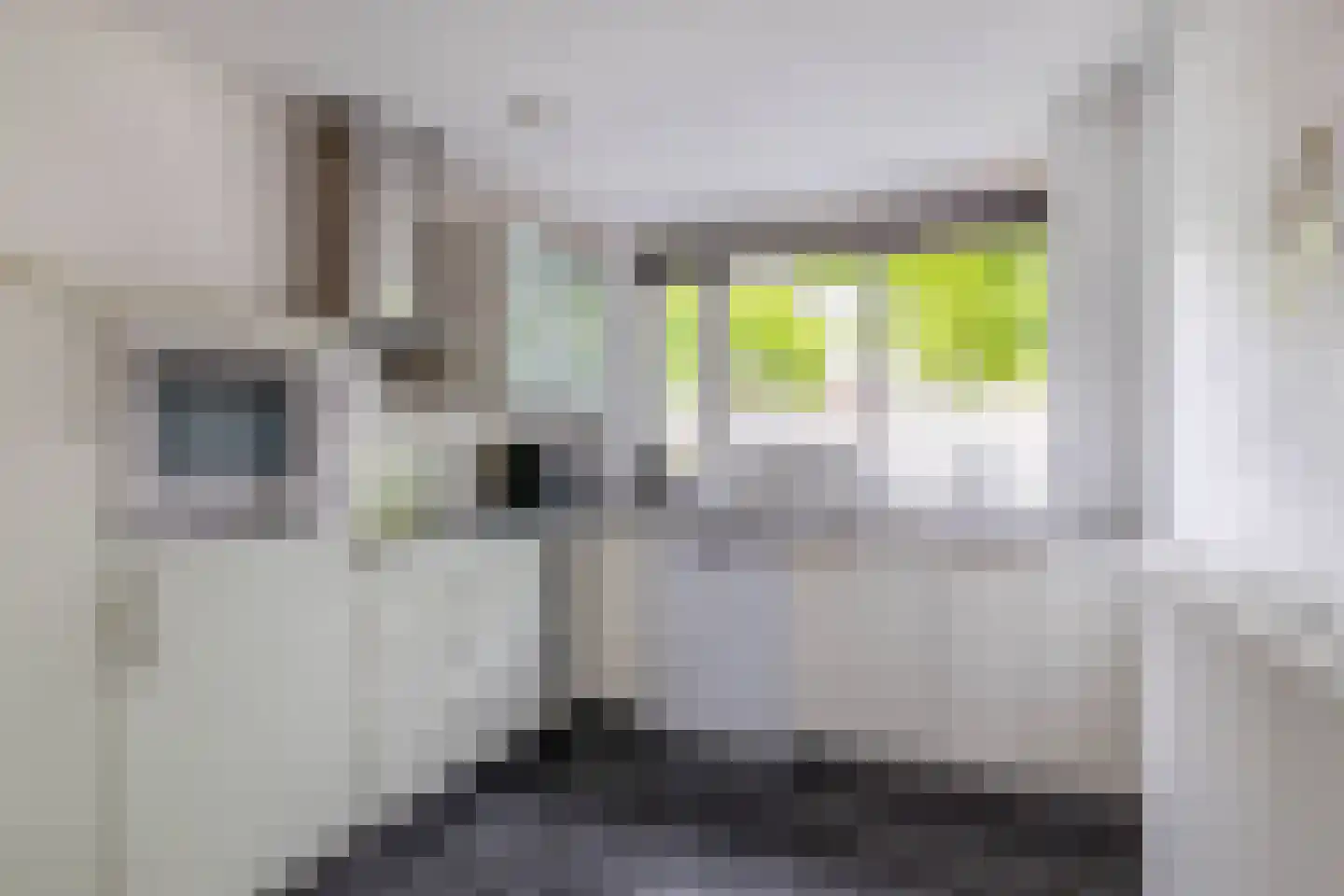 Roxenissestraat 13 Zoetermeer thumbnail 17