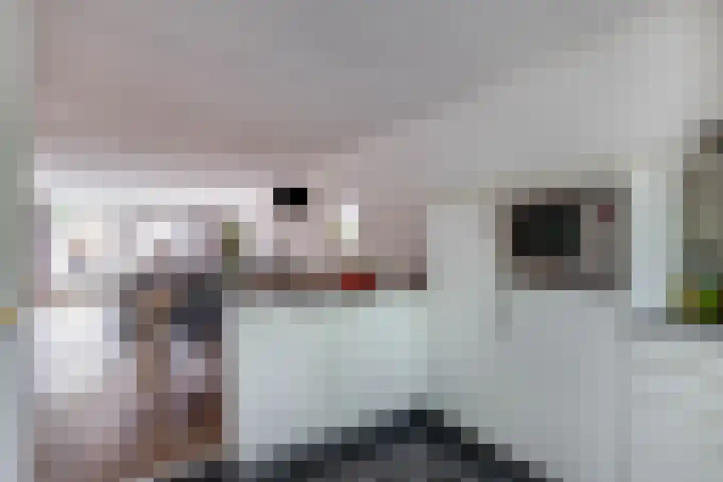 Roxenissestraat 13 Zoetermeer thumbnail 18