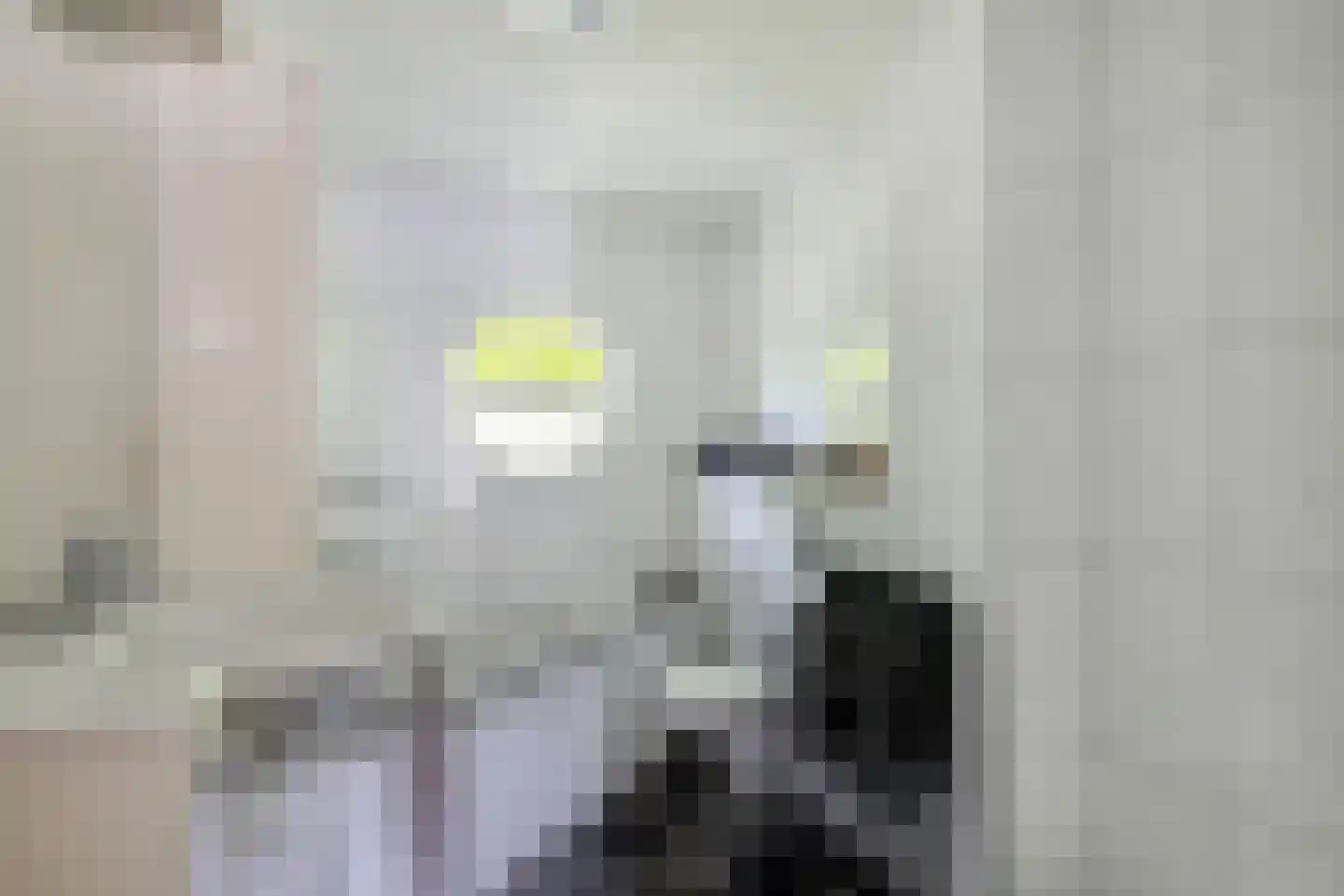 Roxenissestraat 13 Zoetermeer thumbnail 29