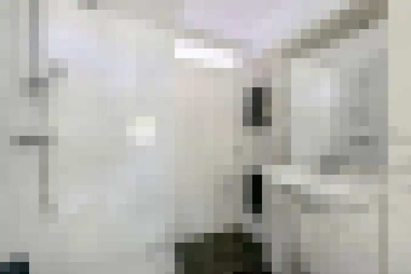 Roxenissestraat 13 Zoetermeer thumbnail 30