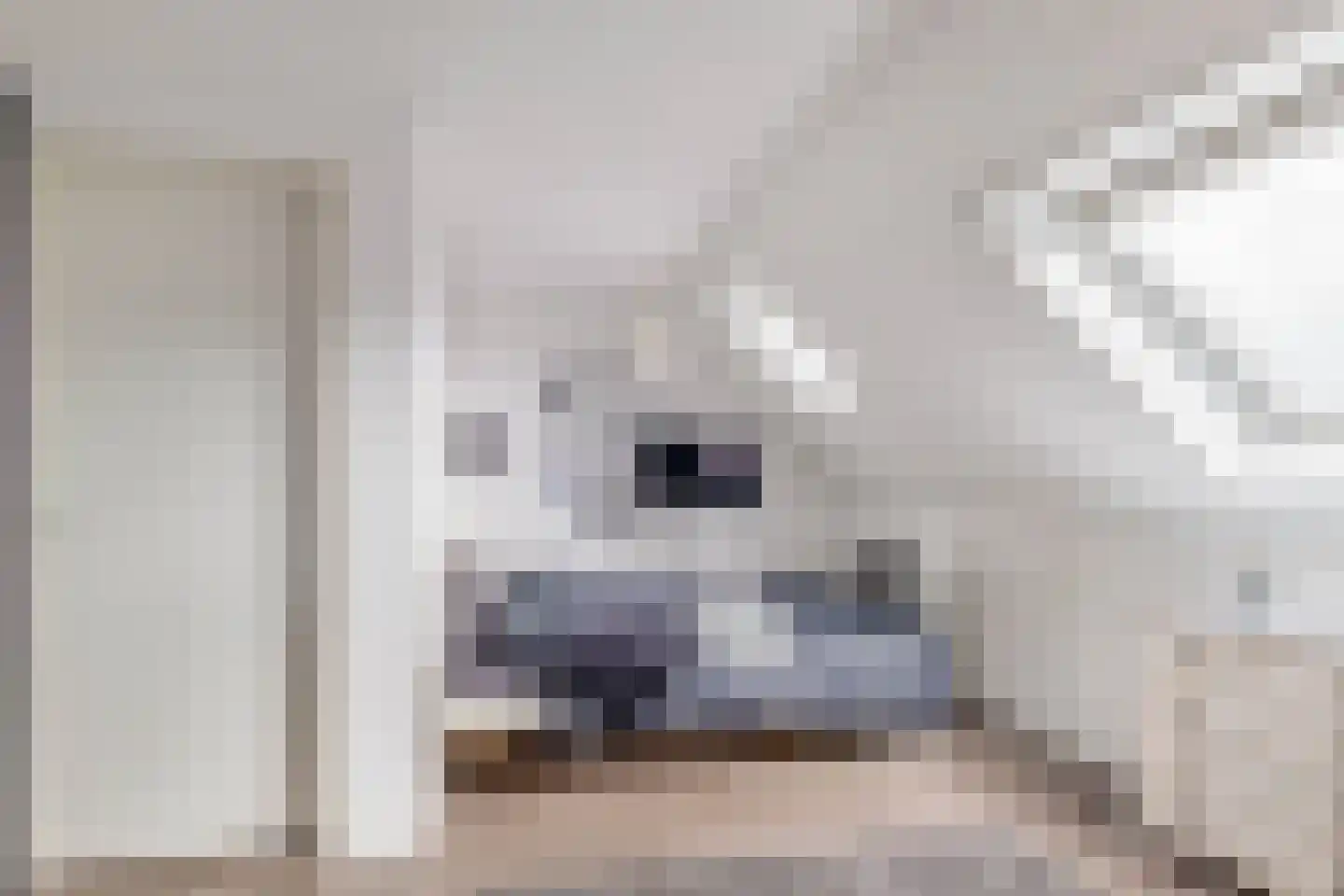 Roxenissestraat 13 Zoetermeer thumbnail 38