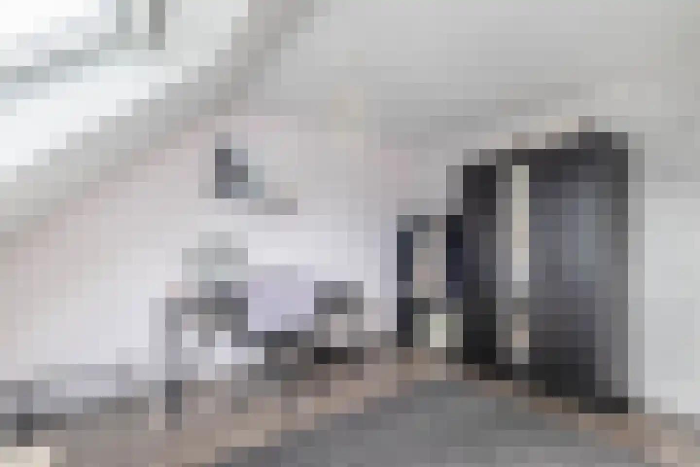 Roxenissestraat 13 Zoetermeer thumbnail 38