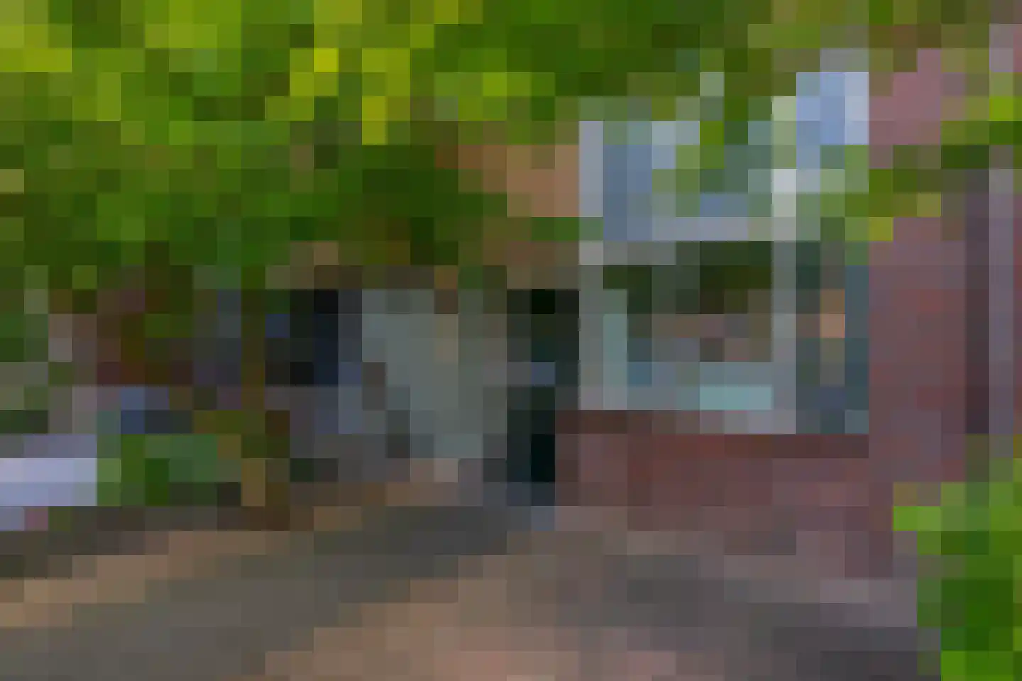 Roxenissestraat 13 Zoetermeer thumbnail 4