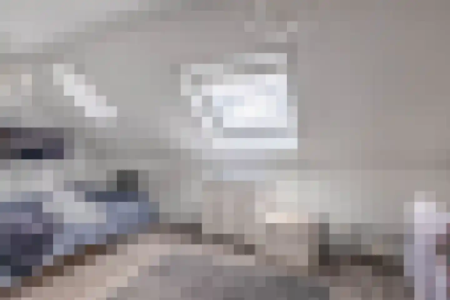 Roxenissestraat 13 Zoetermeer thumbnail 39