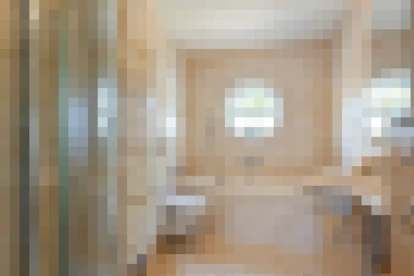 Roxenissestraat 14 Zoetermeer thumbnail 20