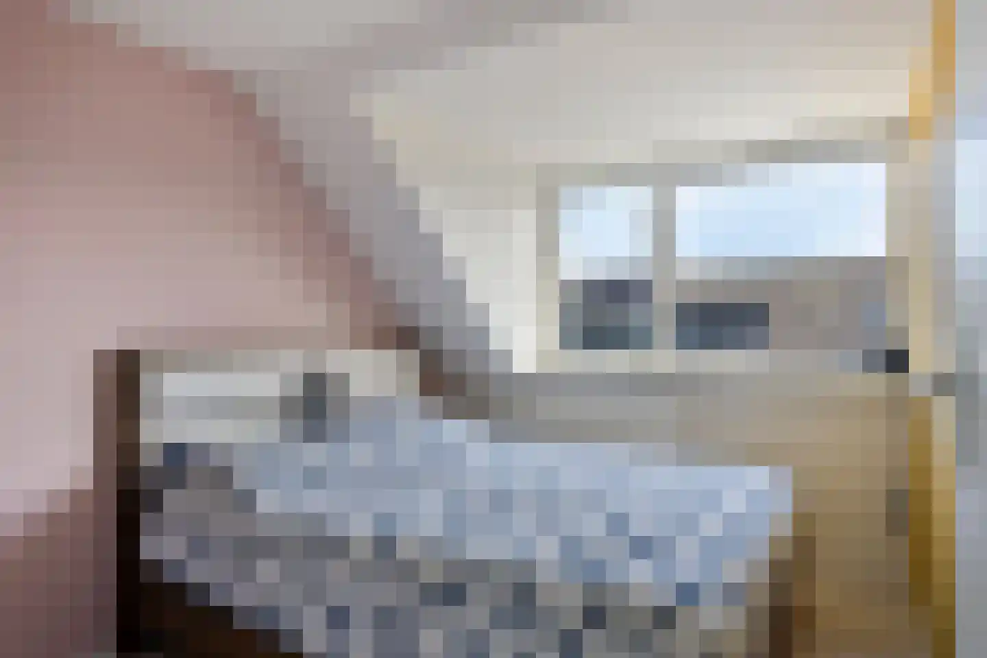 Roxenissestraat 14 Zoetermeer thumbnail 28