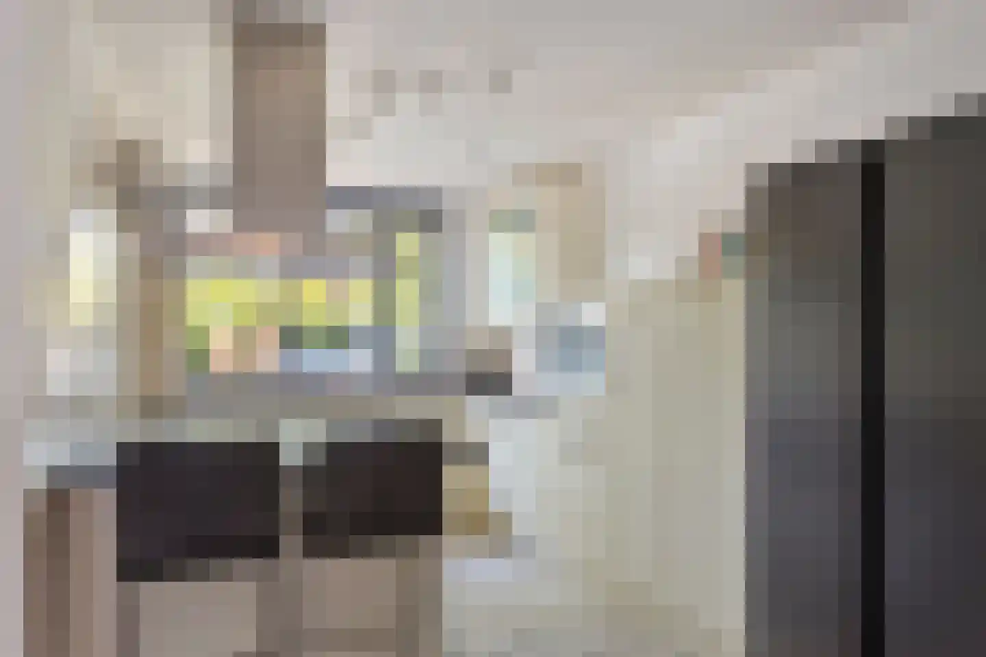 Roxenissestraat 14 Zoetermeer thumbnail 5