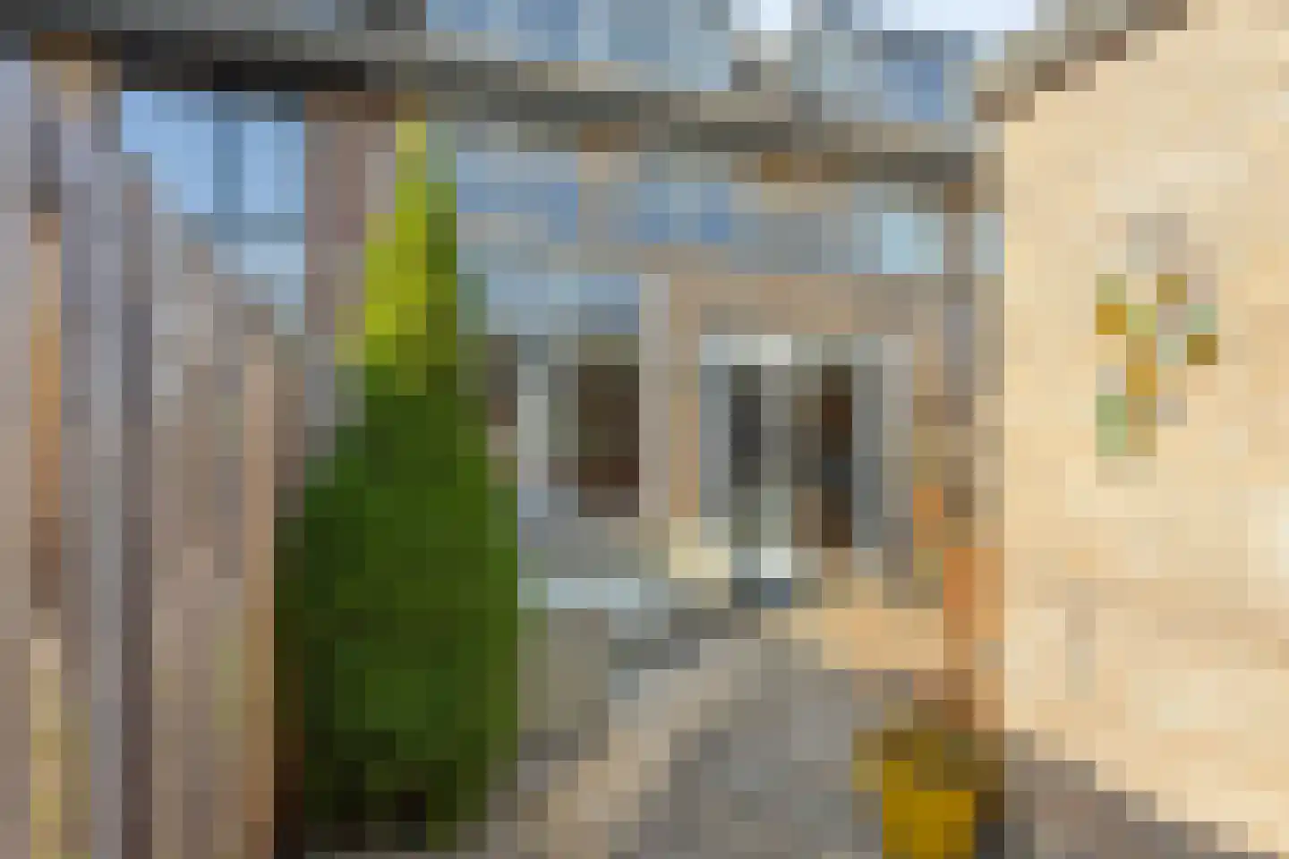 Roxenissestraat 14 Zoetermeer thumbnail 6