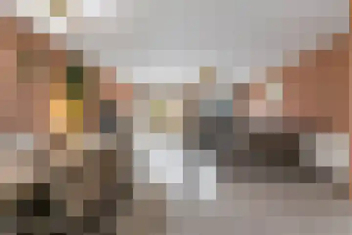 Roxenissestraat 22 Zoetermeer thumbnail 11
