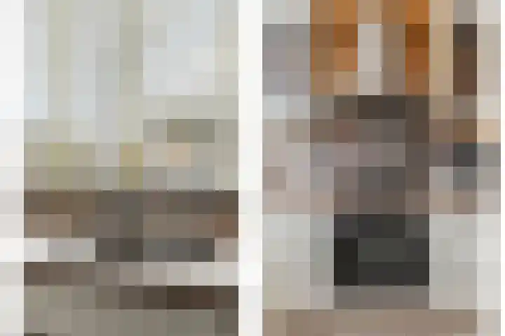 Roxenissestraat 22 Zoetermeer thumbnail 12