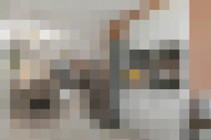 Roxenissestraat 22 Zoetermeer thumbnail 13
