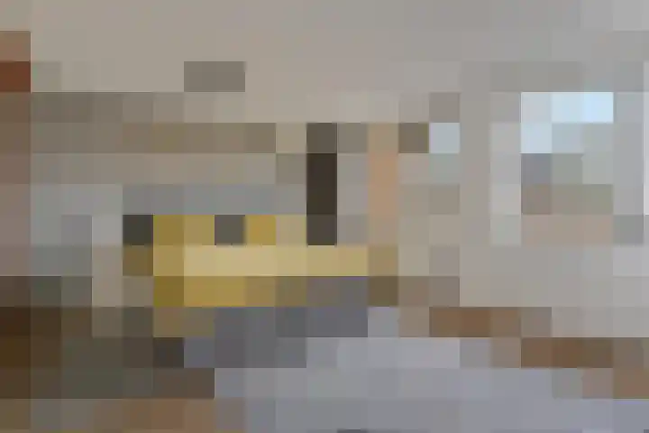 Roxenissestraat 22 Zoetermeer thumbnail 18