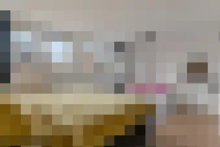 Roxenissestraat 22 Zoetermeer thumbnail 19