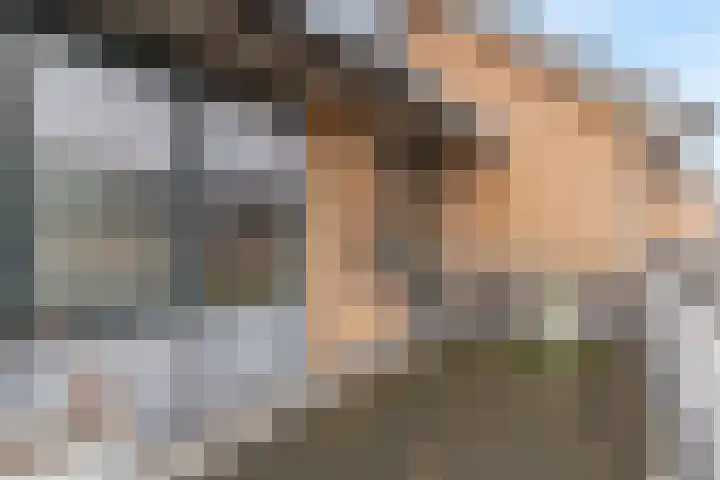 Roxenissestraat 22 Zoetermeer thumbnail 22
