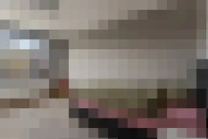 Roxenissestraat 22 Zoetermeer thumbnail 23
