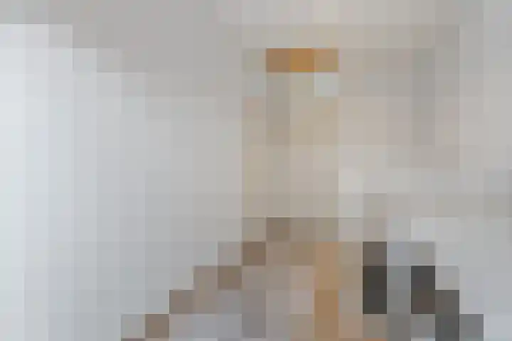 Roxenissestraat 22 Zoetermeer thumbnail 27