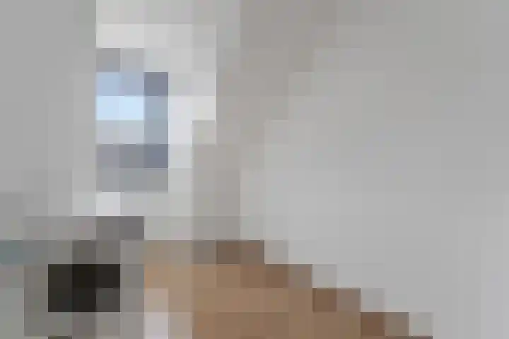 Roxenissestraat 22 Zoetermeer thumbnail 31