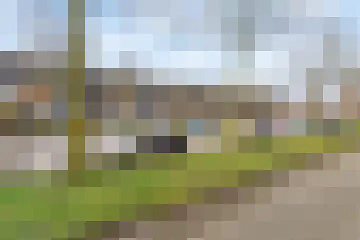 Roxenissestraat 22 Zoetermeer thumbnail 33