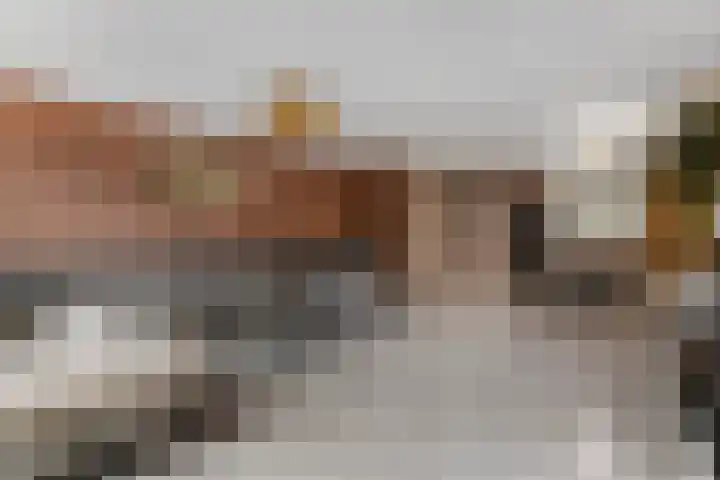 Roxenissestraat 22 Zoetermeer thumbnail 8
