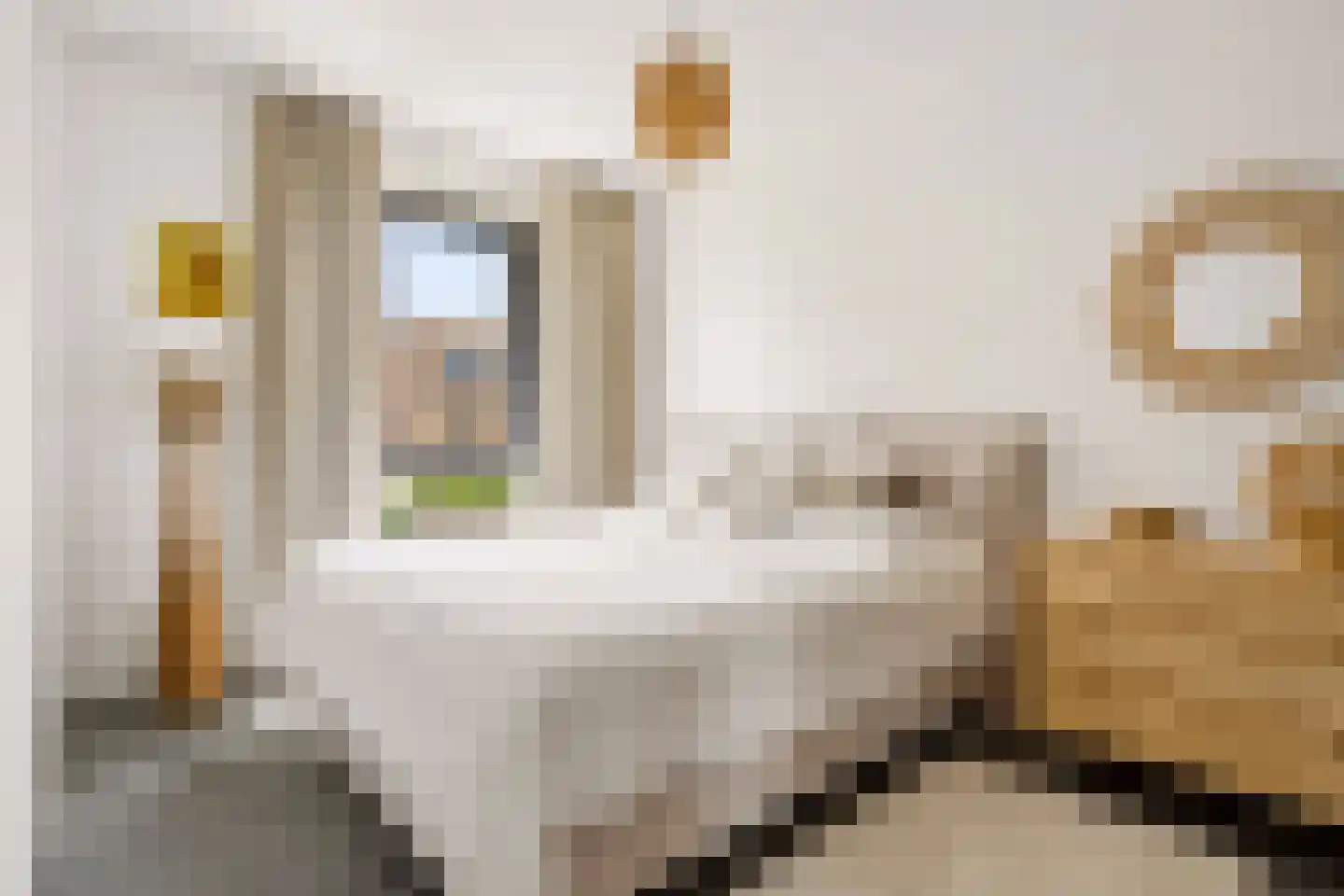 Roy Eldridgepad 19 Utrecht thumbnail 16