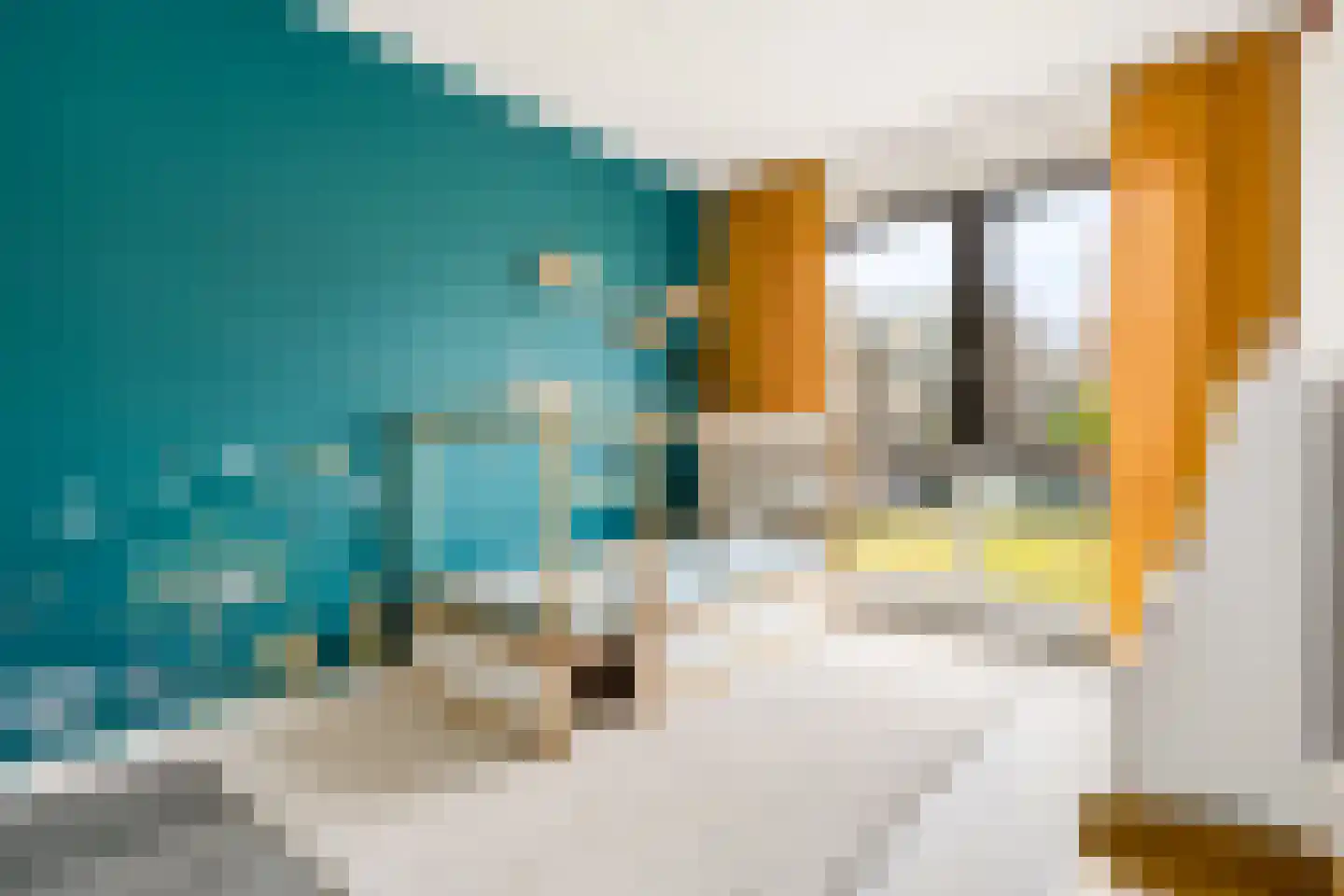 Roy Eldridgepad 19 Utrecht thumbnail 23