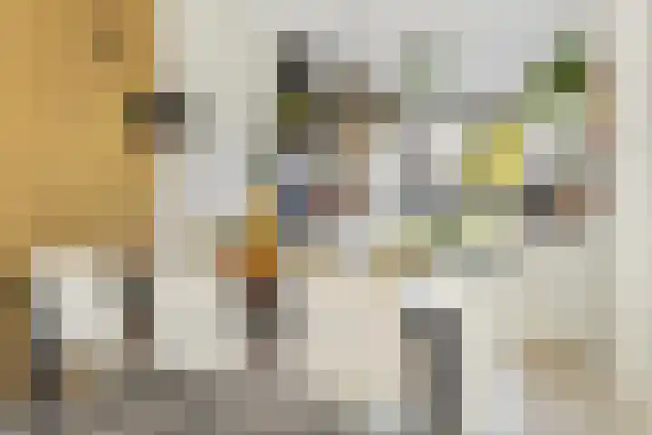 Roy Eldridgepad 23 Utrecht thumbnail 10
