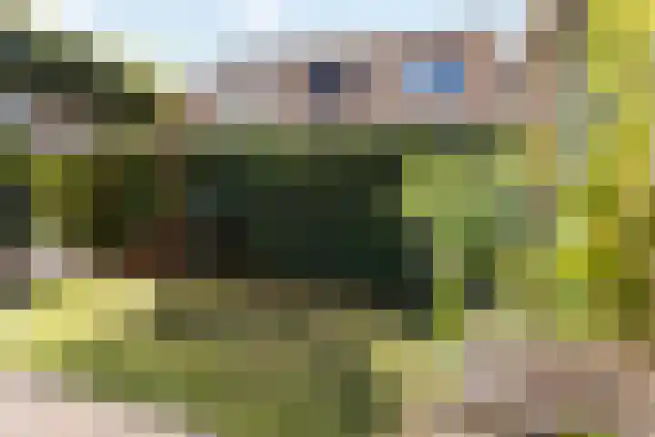 Roy Eldridgepad 23 Utrecht thumbnail 23
