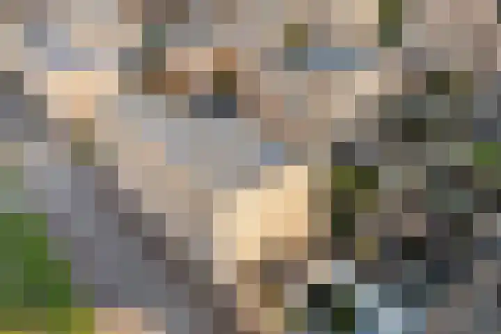Roy Eldridgepad 23 Utrecht thumbnail 31