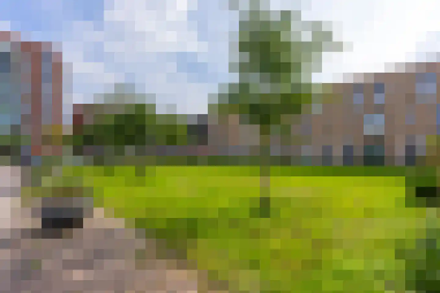 Roy Eldridgepad 8 Utrecht thumbnail 12