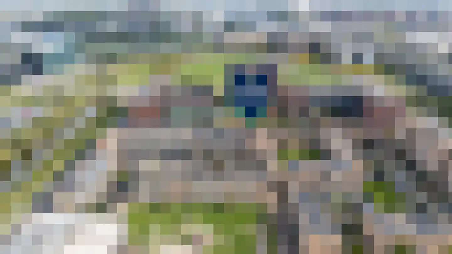 Roy Eldridgepad 8 Utrecht thumbnail 5