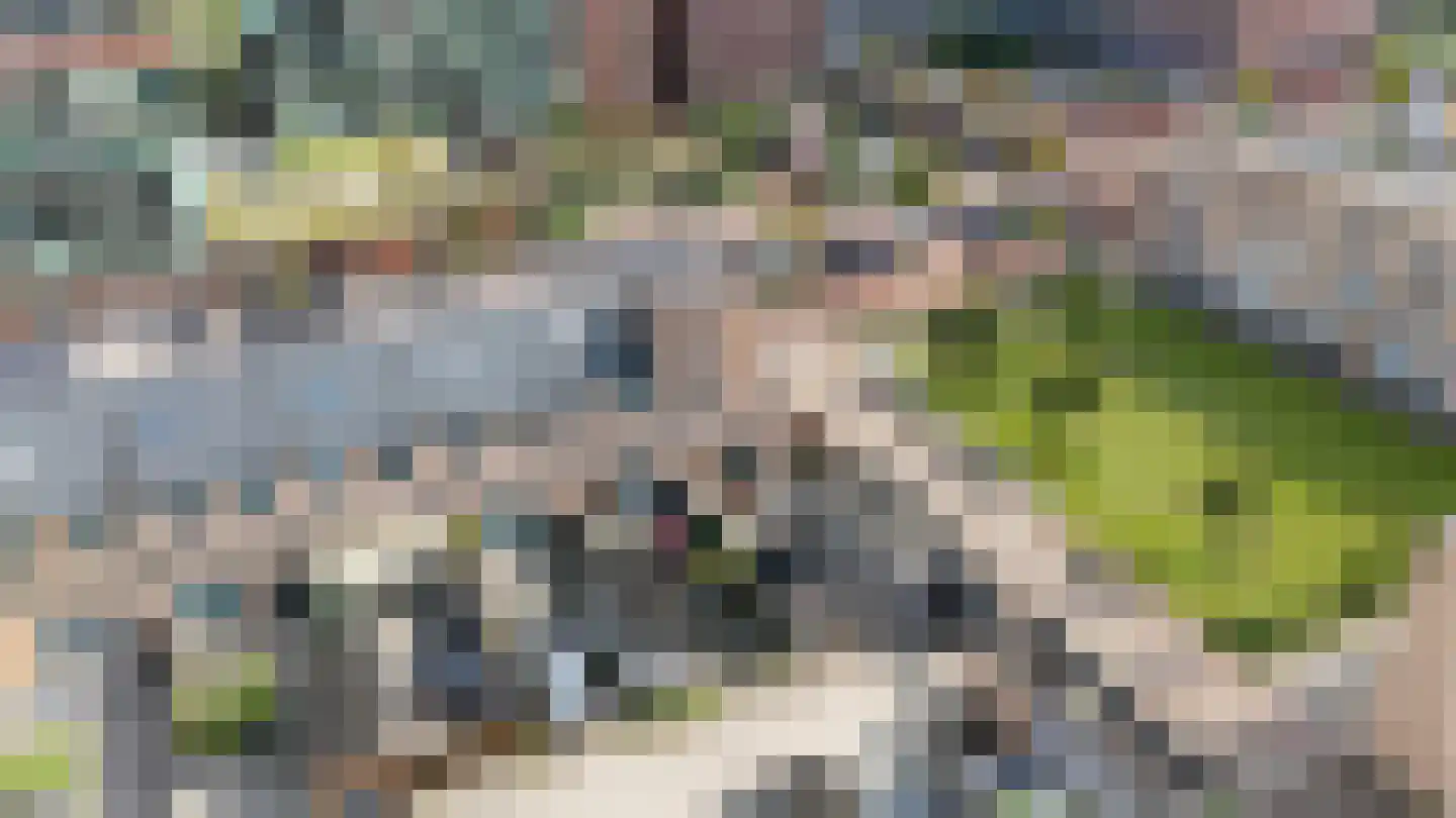 Roy Eldridgepad 8 Utrecht thumbnail 8