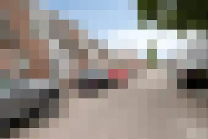 Photo de Roy Veltman