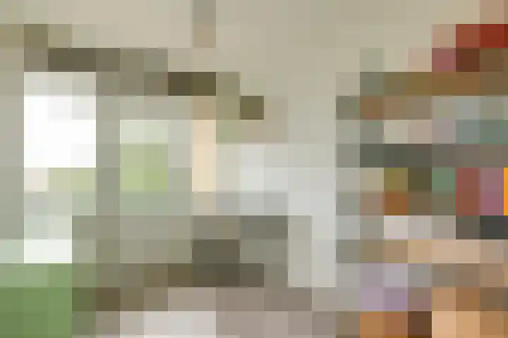 Royaards van den Hamkade 11 2 Utrecht thumbnail 17