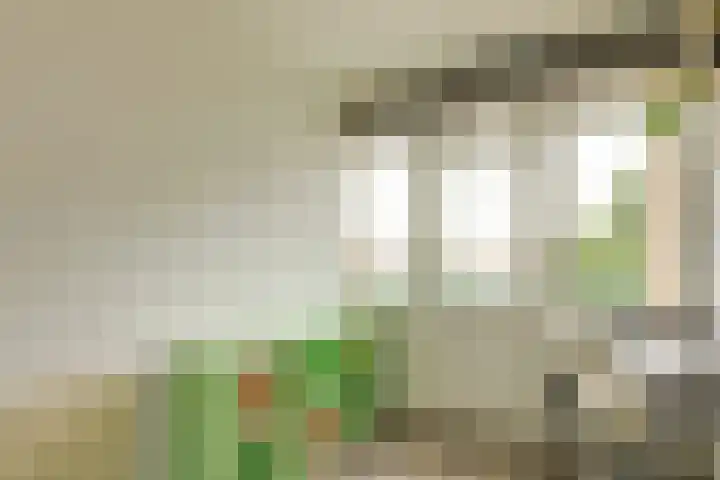 Royaards van den Hamkade 11 2 Utrecht thumbnail 18