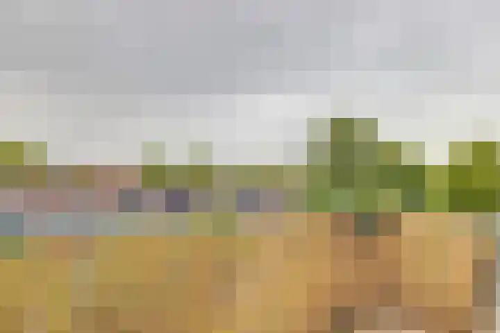Royaards van den Hamkade 11 2 Utrecht thumbnail 26