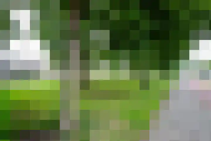 Royaards van den Hamkade 11 2 Utrecht thumbnail 31