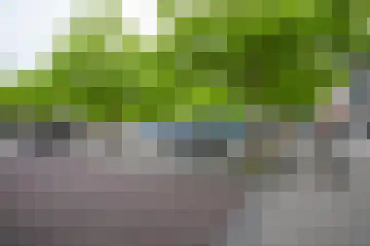 Royaards van den Hamkade 11 2 Utrecht thumbnail 34