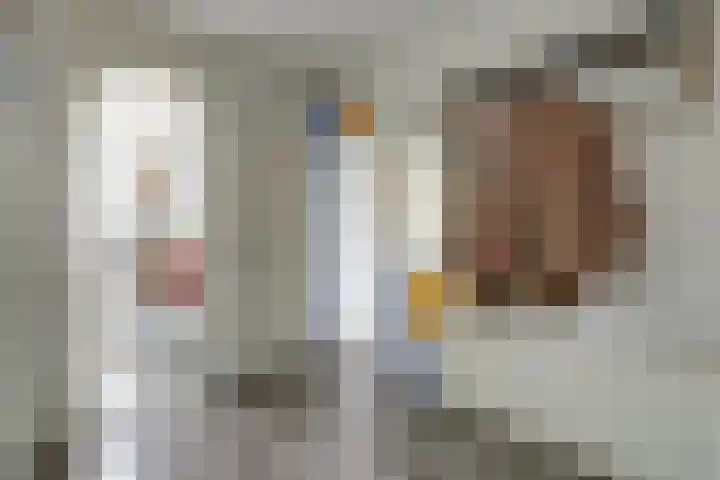 Royaards van den Hamkade 11 2 Utrecht thumbnail 6