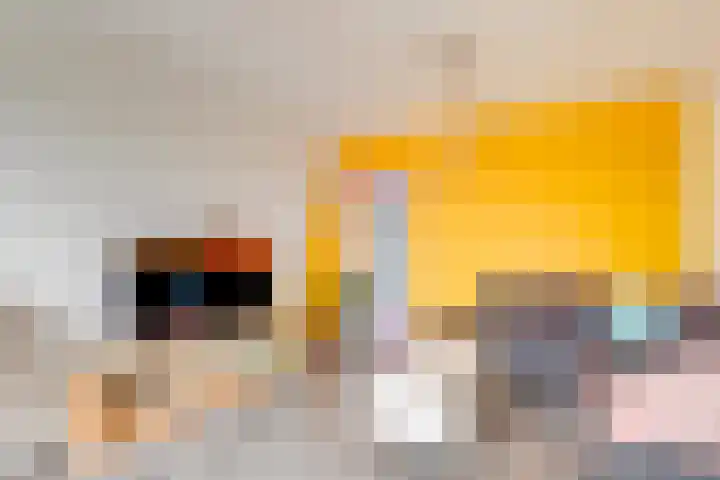 Royaards van den Hamkade 11 2 Utrecht thumbnail 7