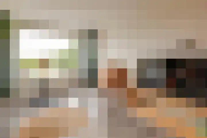 Royaards van den Hamkade 11 2 Utrecht thumbnail 8