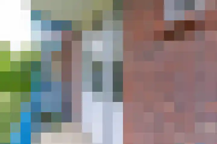 Royaards van den Hamkade 17 Utrecht thumbnail 13